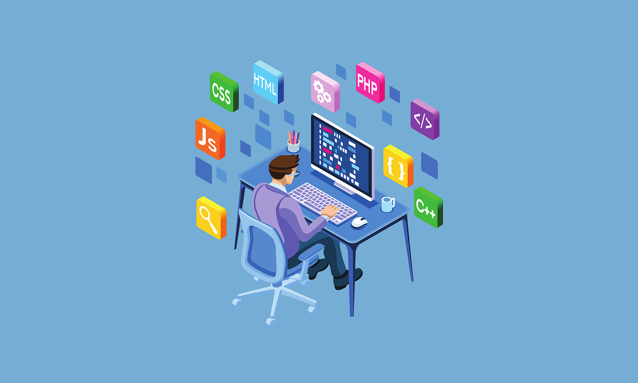 software developer