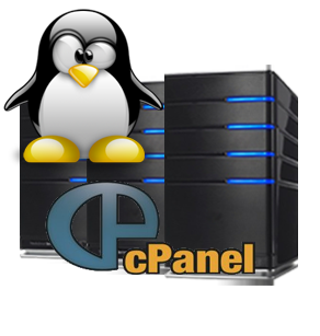 Web Hosting