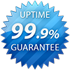 99% Server Level Uptime
